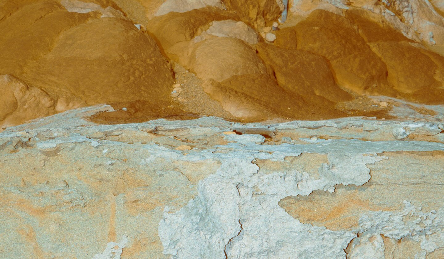 ワイルドシングス2026SS