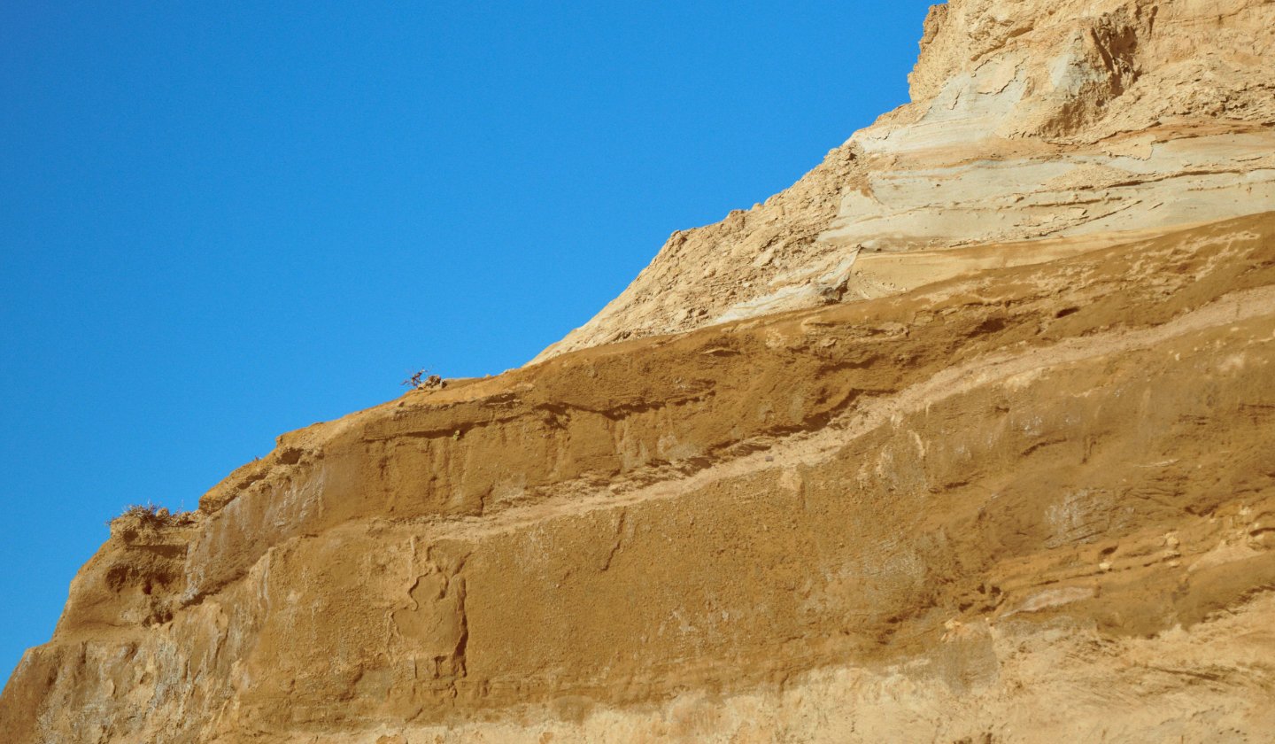 ワイルドシングス2026SS