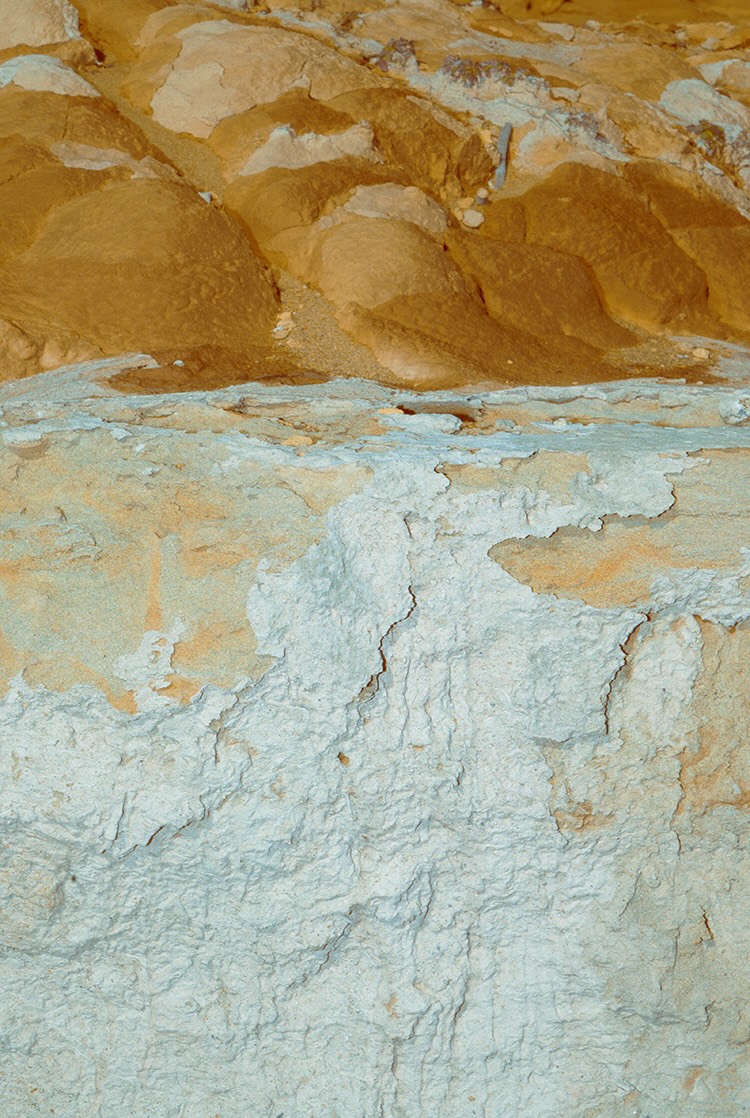 ワイルドシングス公式サイト | WILD THINGS OFFICIAL SITE