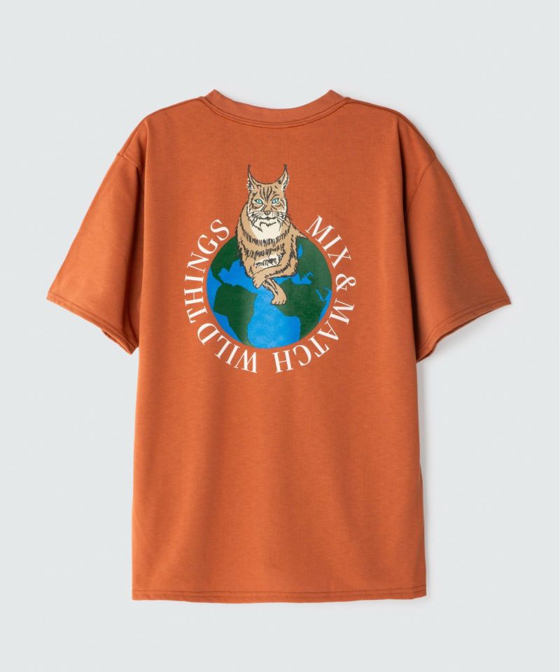 ワイルドキャットサーキュラー | WILD CAT CIRCULAR | ワイルドシングス公式サイト | WILD THINGS OFFICIAL  SITE