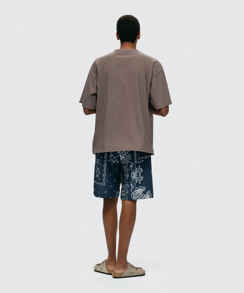 プリントデナリショーツ│PRINT DENALI SHORTS ワイルドシングス