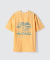 パイクフィッシングTシャツ│PIKE FISHING TEE　ワイルドシングス