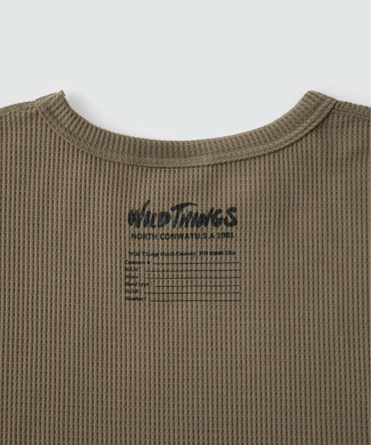 ポーラテック ワッフルL/S│POLARTEC WAFFLE L/S ワイルドシングス